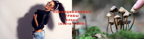 скорость Алексеевка
