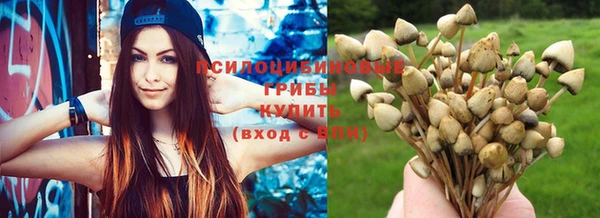 скорость Алексеевка