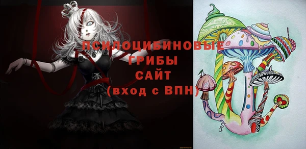 амф Алзамай