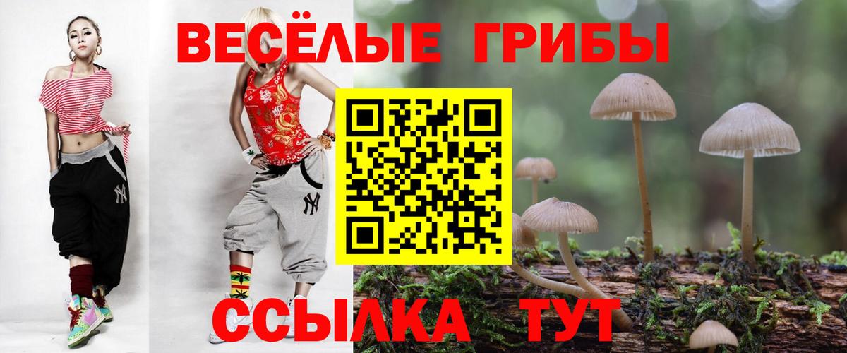Галлюциногенные грибы MAGIC MUSHROOMS  Галлюциногенные грибы GOLDEN TEACHER  Вход с VPN  как найти   Алушта 